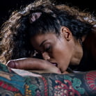 Scarlet Rebel in 'Rebelious Spirit'