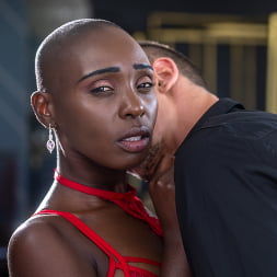 Black, Bald, Beautiful